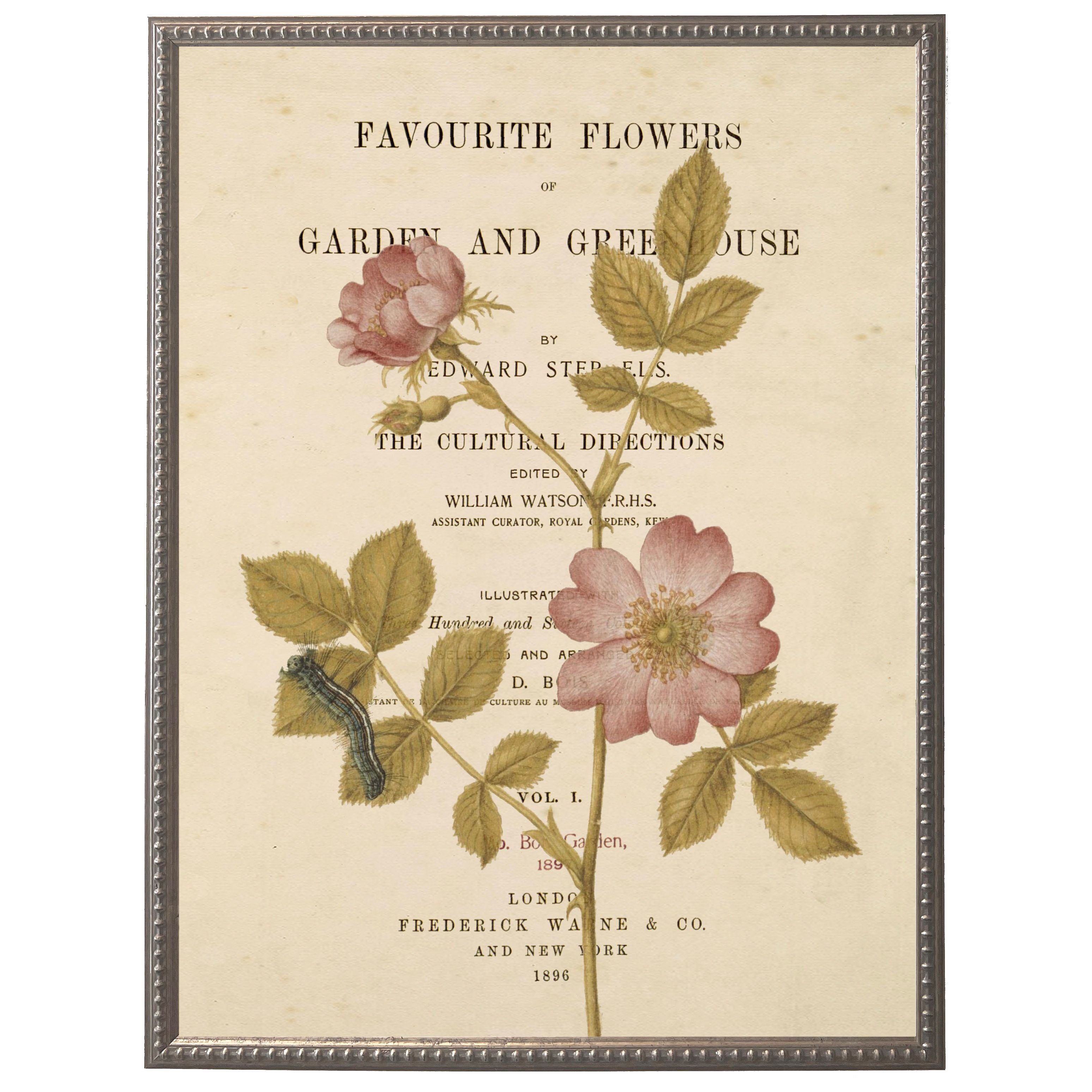 Vintage Floral & Butterfly Print | 18" x 24"