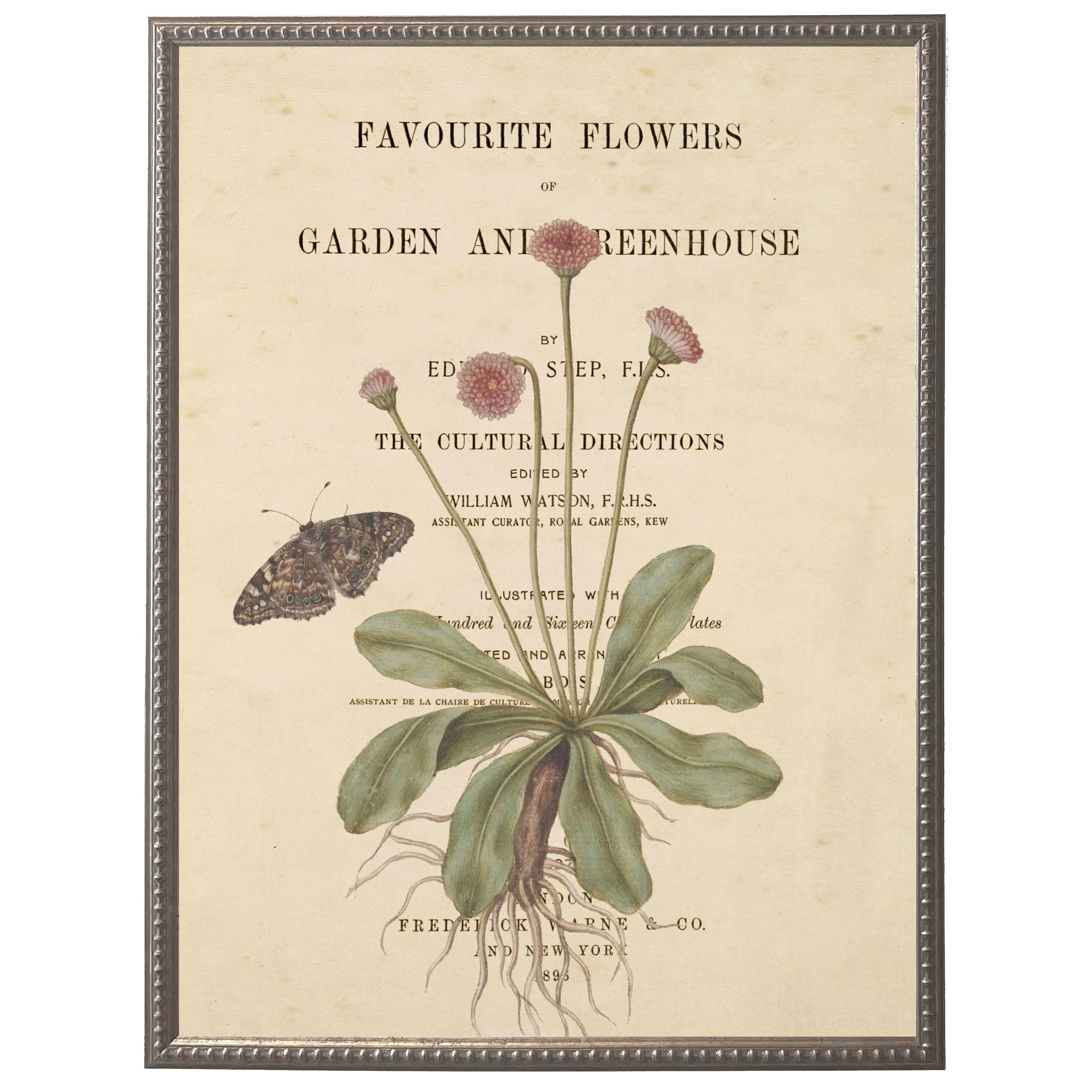 Vintage Floral & Butterfly Print | 12" x 16"