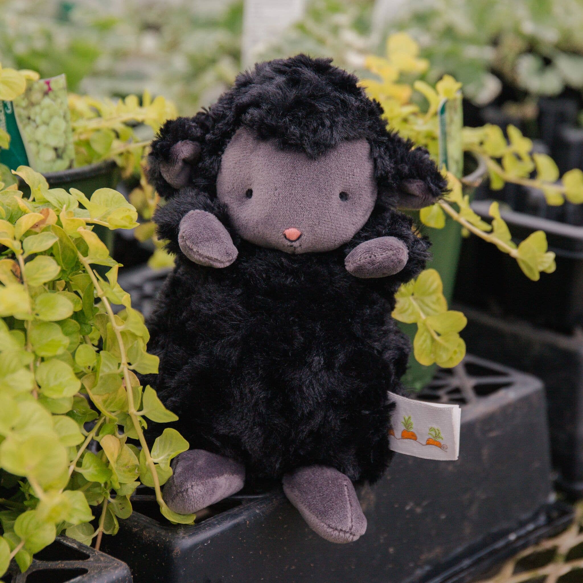 Wee Kiddo the Lamb | Black