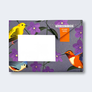 Pigeon Letter Pack | Carnival of Colour