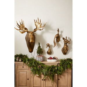 Wall Mount - Eugene