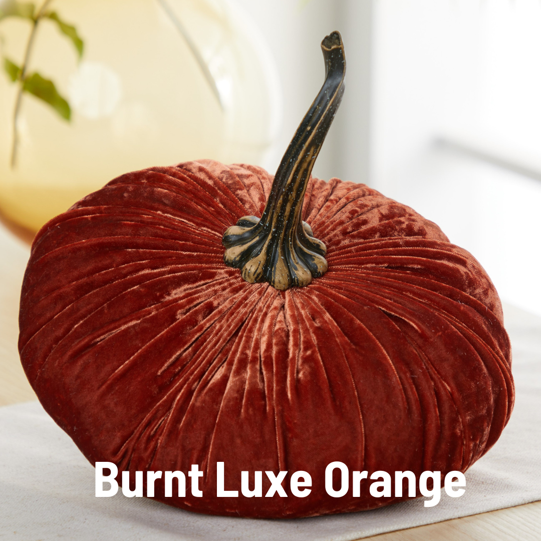 Velvet Pumpkin | Extra Large - Gold
