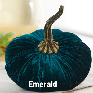 Velvet Pumpkin | Large - Bronze