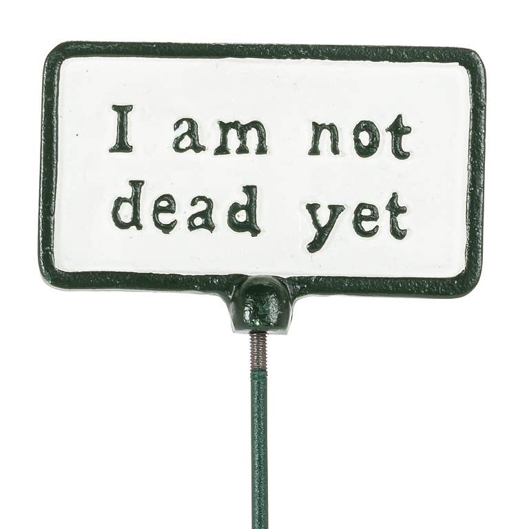 Abbott - Plant Signs-Antique White-5 Assorted-2x3.5"L