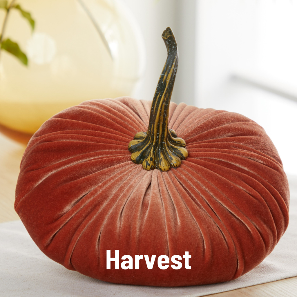 Velvet Pumpkin | Extra Large - Luxe Burnt Orange