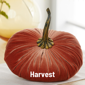 Velvet Pumpkin | Extra Large - Gold