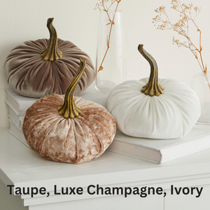 Velvet Pumpkin | Small- Gold