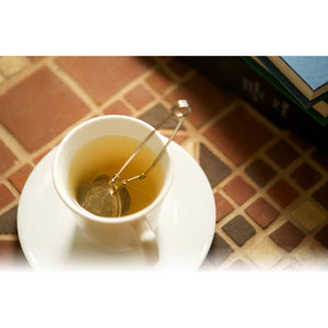 Mesh Spring Tea Infuser