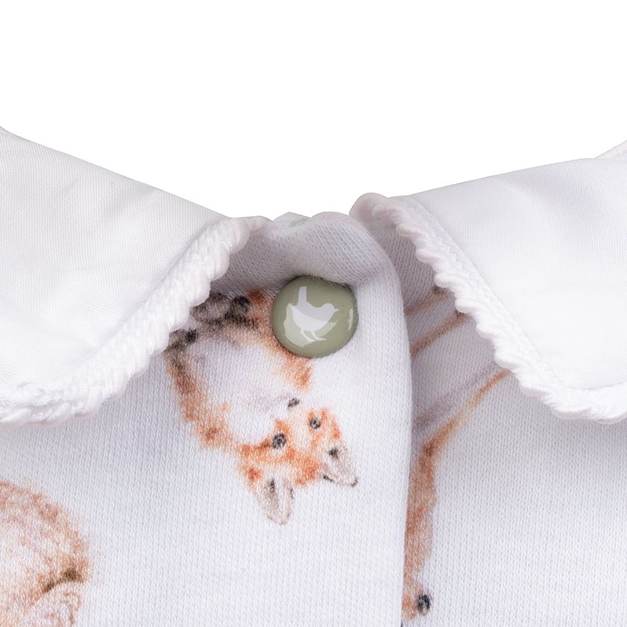 Printed BabyGrow Sleepsuit