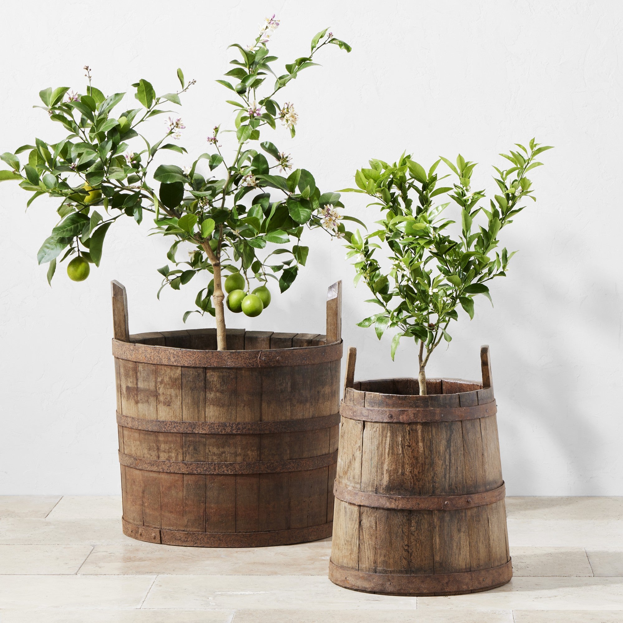 Found Wine Barrel | Medium