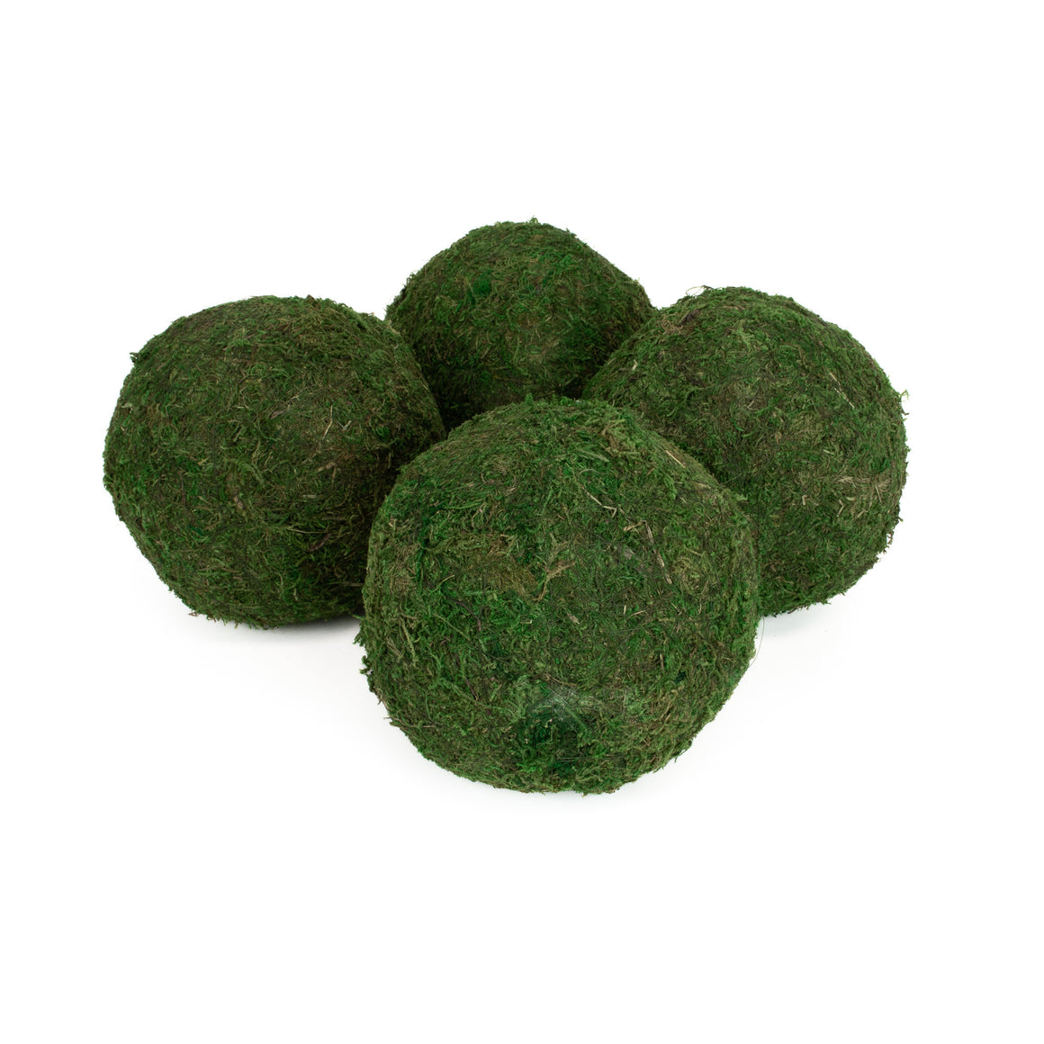 Green Sheet Moss Ball | 6”