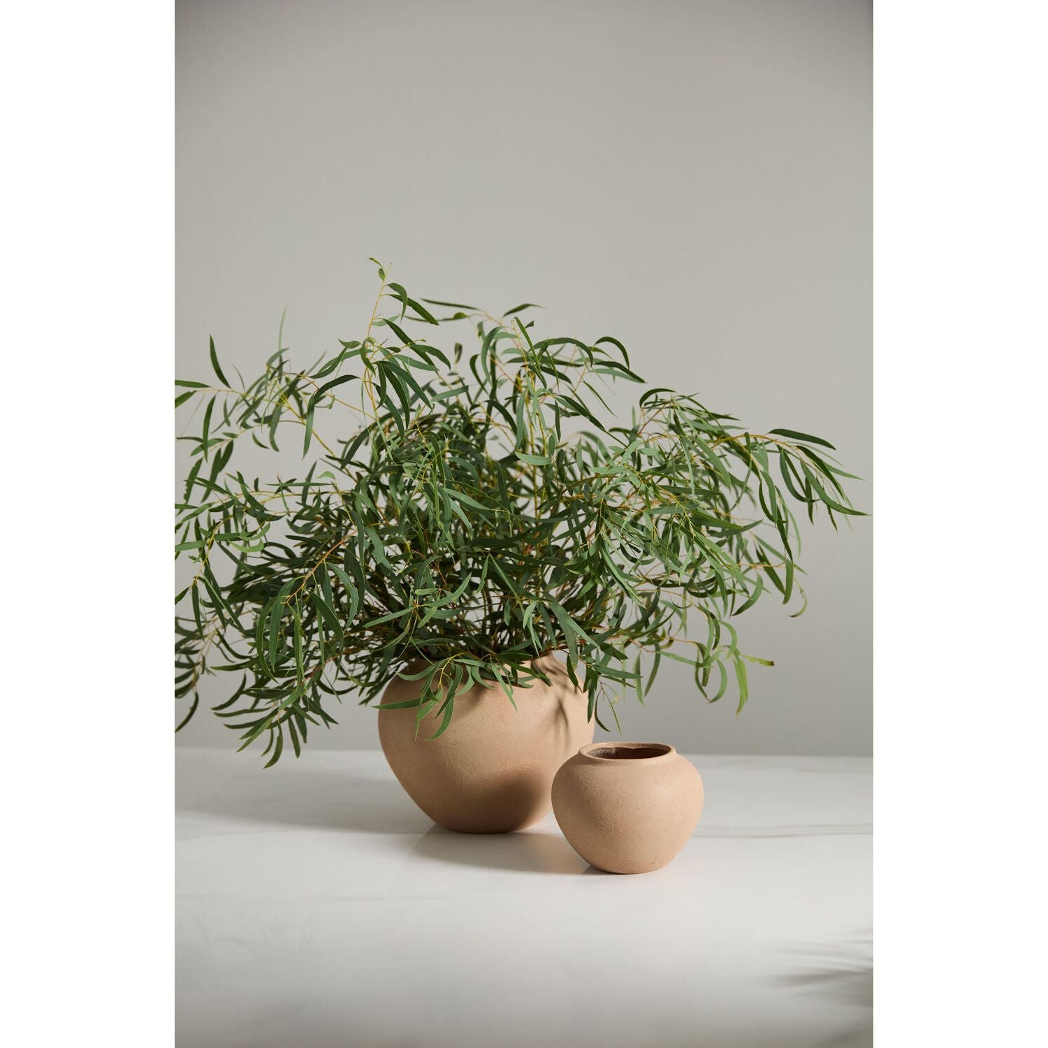 Kastanos Vase