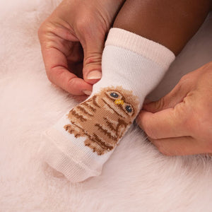 Baby Socks Set
