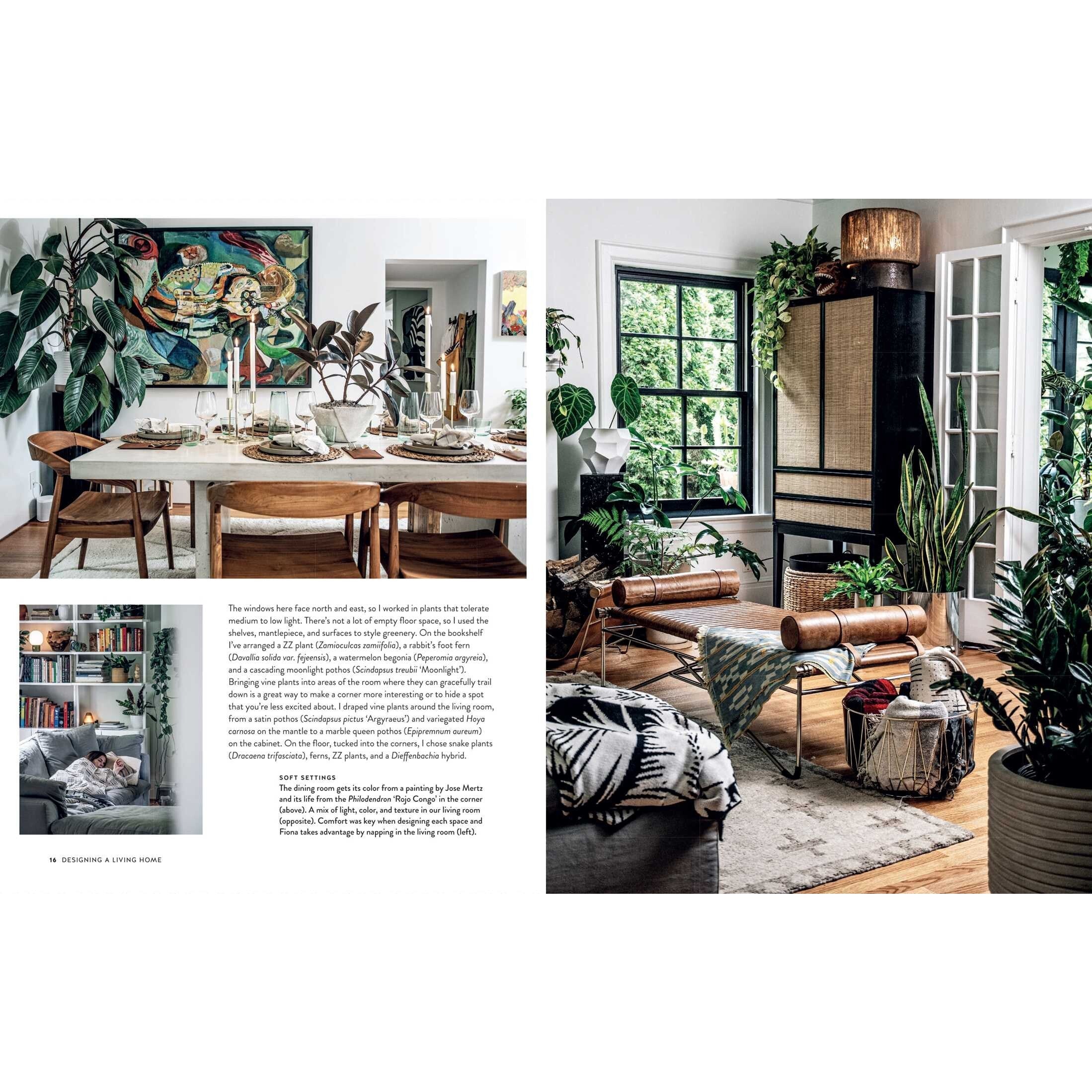 Living Wild | How to Plant Style Your Home and Cultivate Happiness