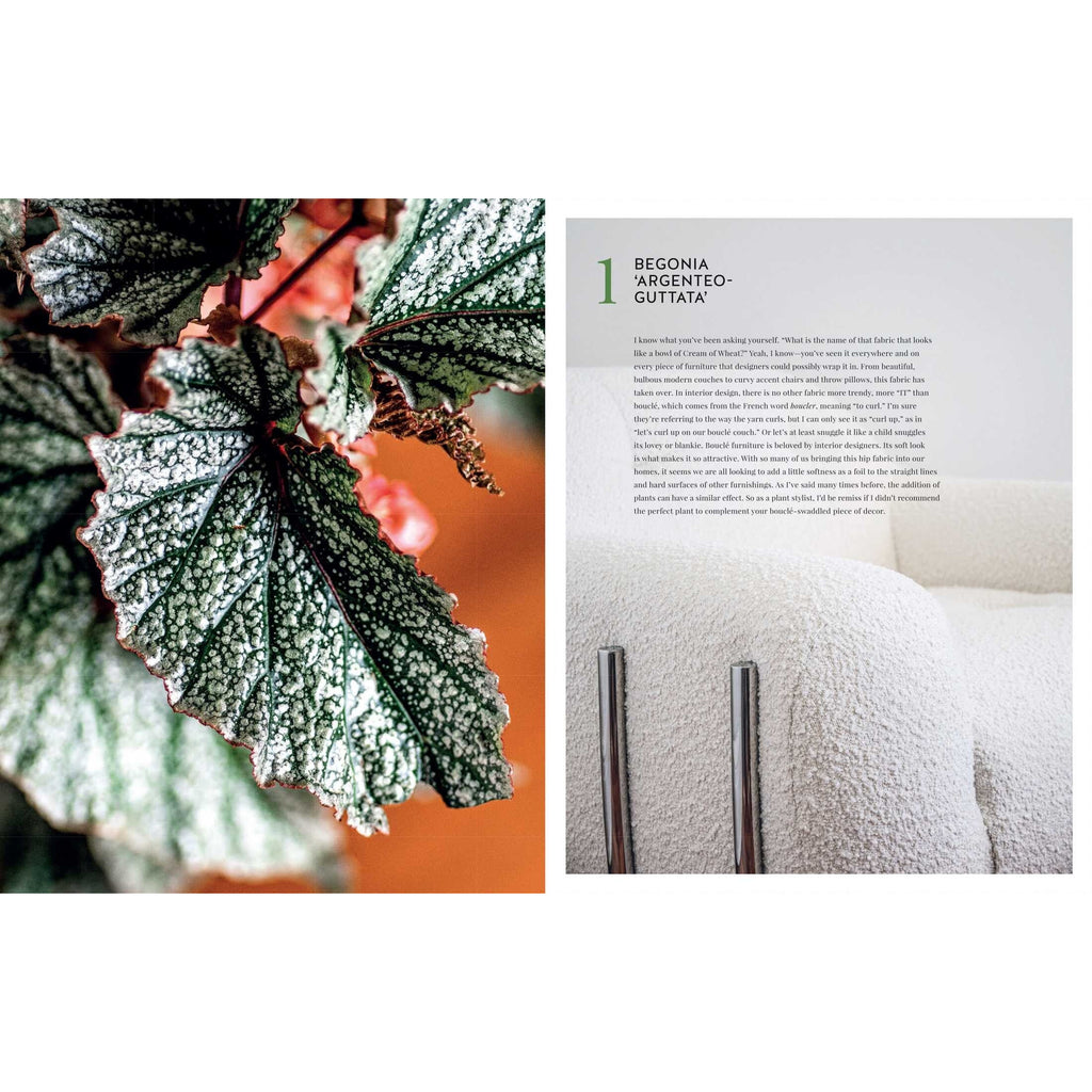 Living Wild | How to Plant Style Your Home and Cultivate Happiness