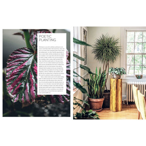 Living Wild | How to Plant Style Your Home and Cultivate Happiness