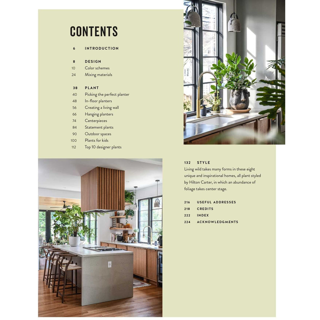 Living Wild | How to Plant Style Your Home and Cultivate Happiness