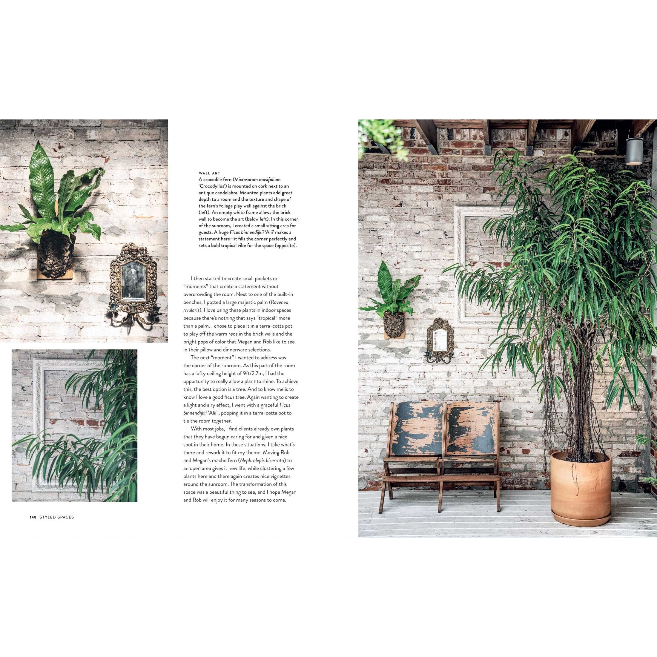 Living Wild | How to Plant Style Your Home and Cultivate Happiness