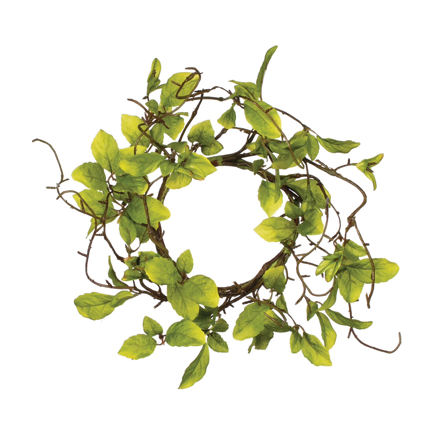 Leaf & Twig Accent Ring