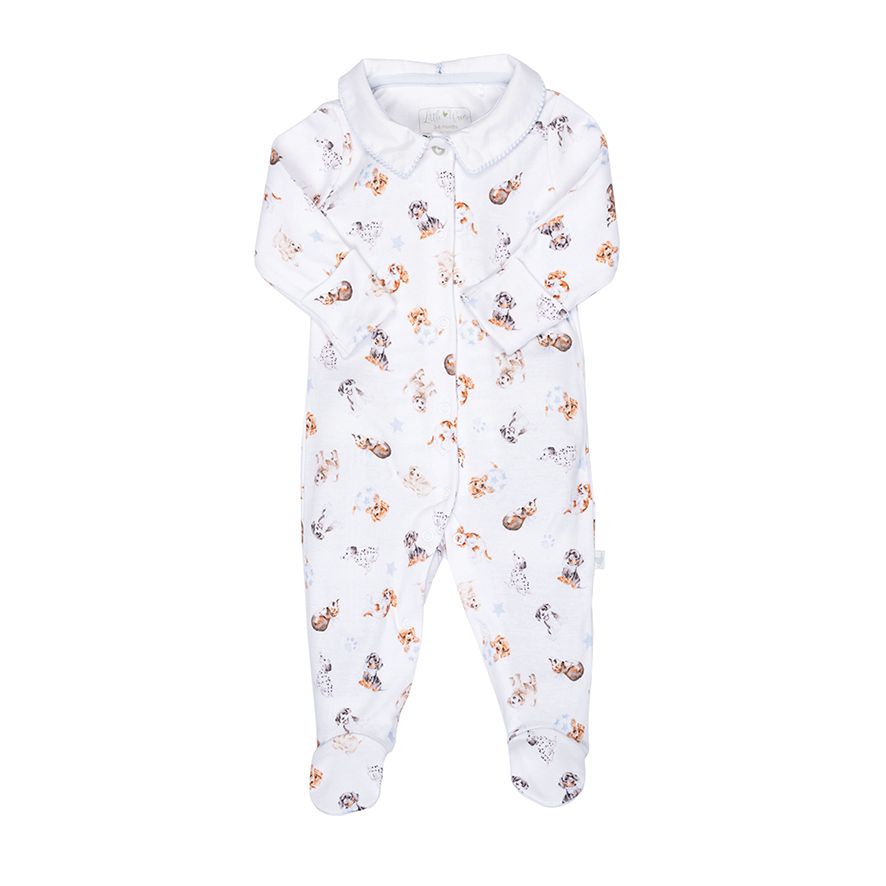 Printed BabyGrow Sleepsuit