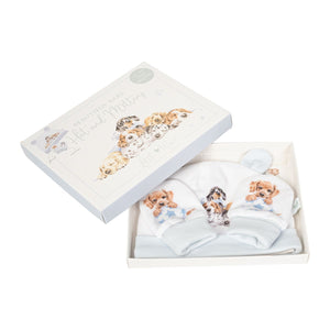 Beautiful Baby Hat & Mittens Set