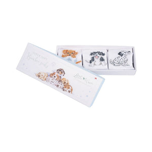 Baby Socks Set
