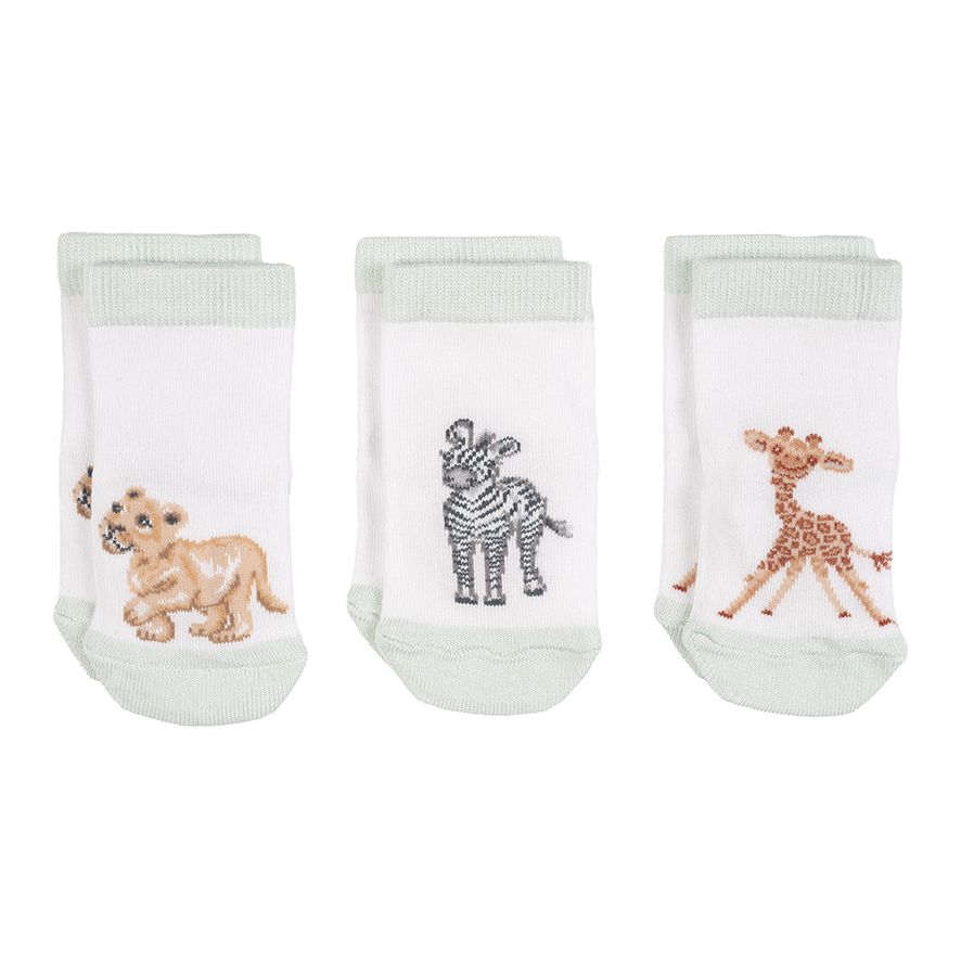Baby Socks Set