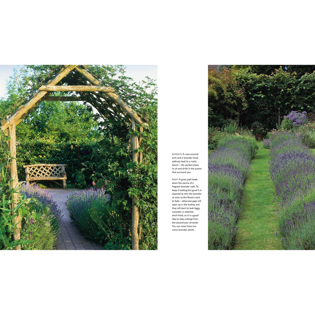 The Mindful Garden