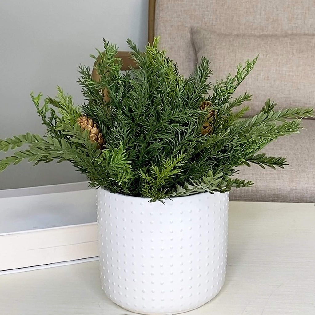 Cedar & Pinecone 1/2 Orb