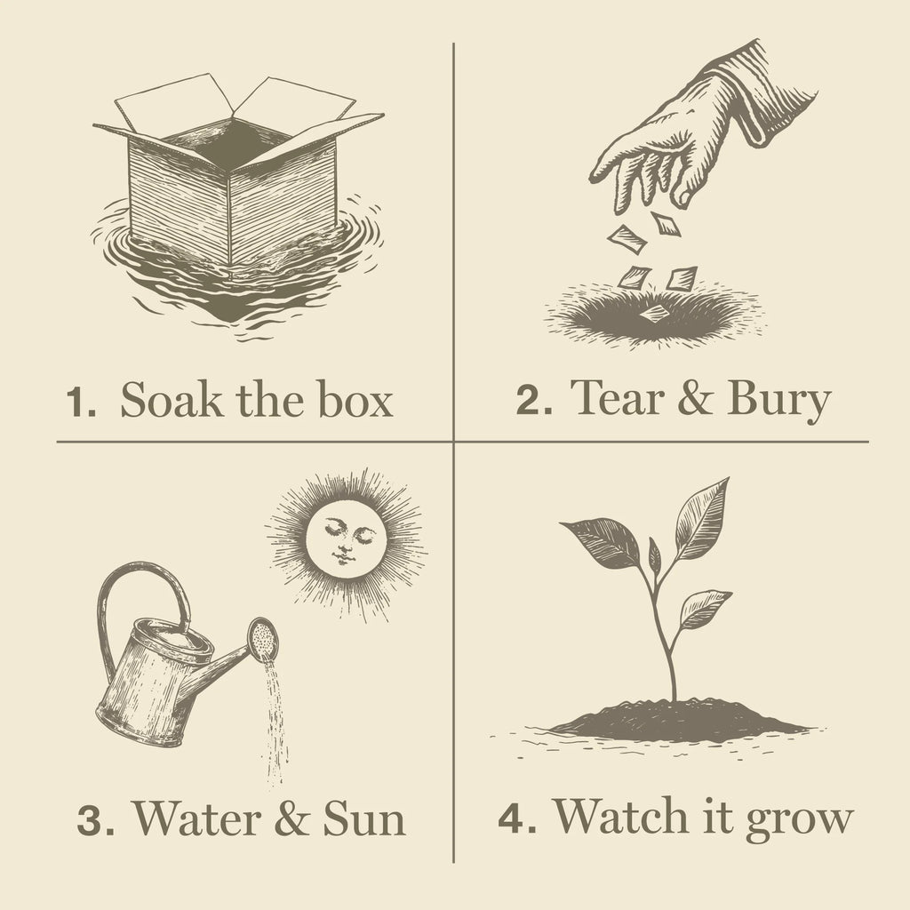 Plant the Box Candle | Heath Lavender
