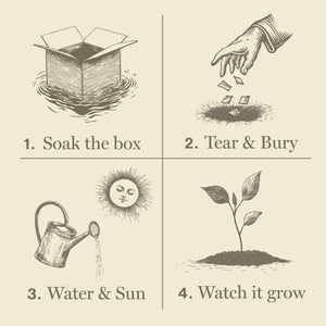 Plant the Box Candle | Heath Lavender