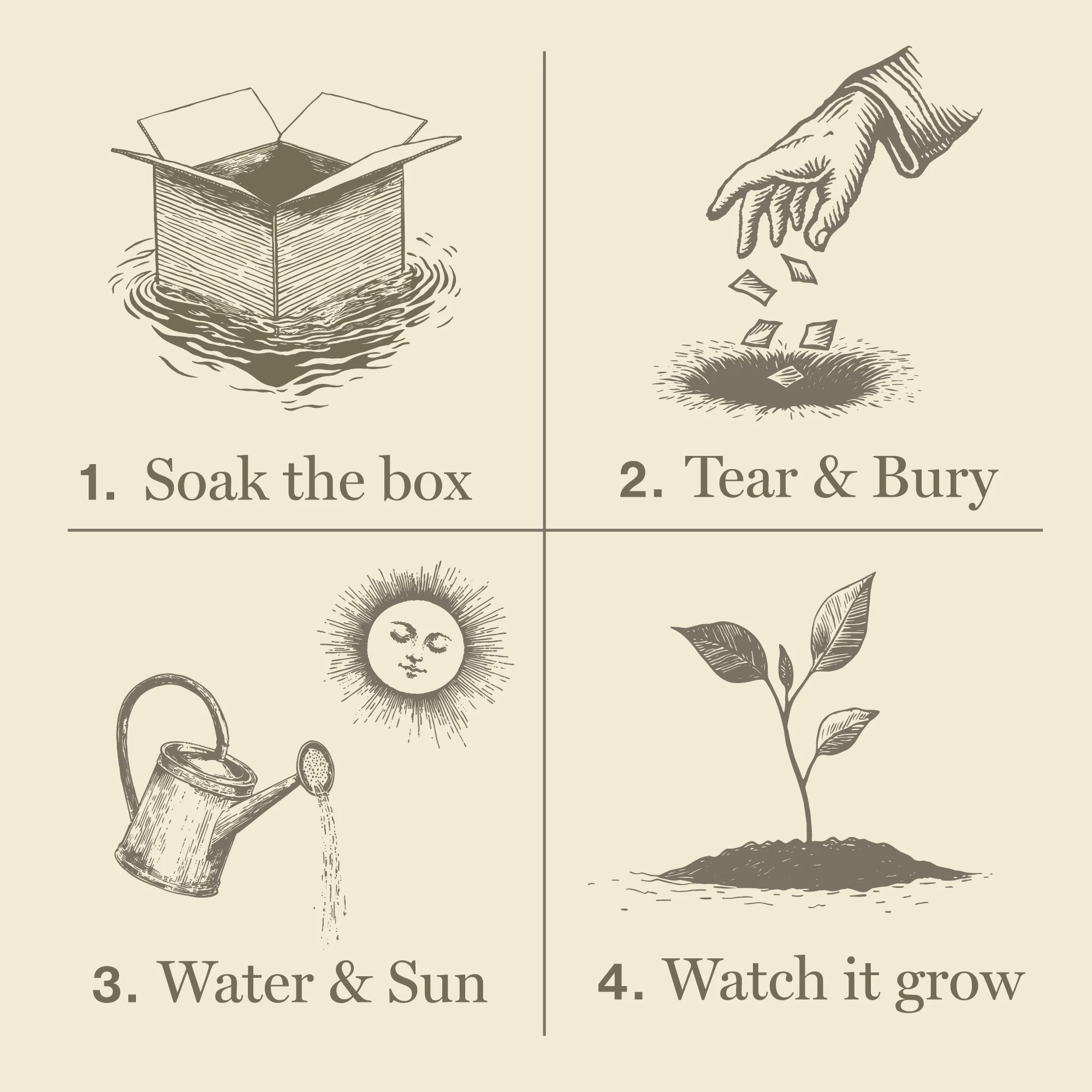 Plant the Box Diffuser | Sweet Sunflower