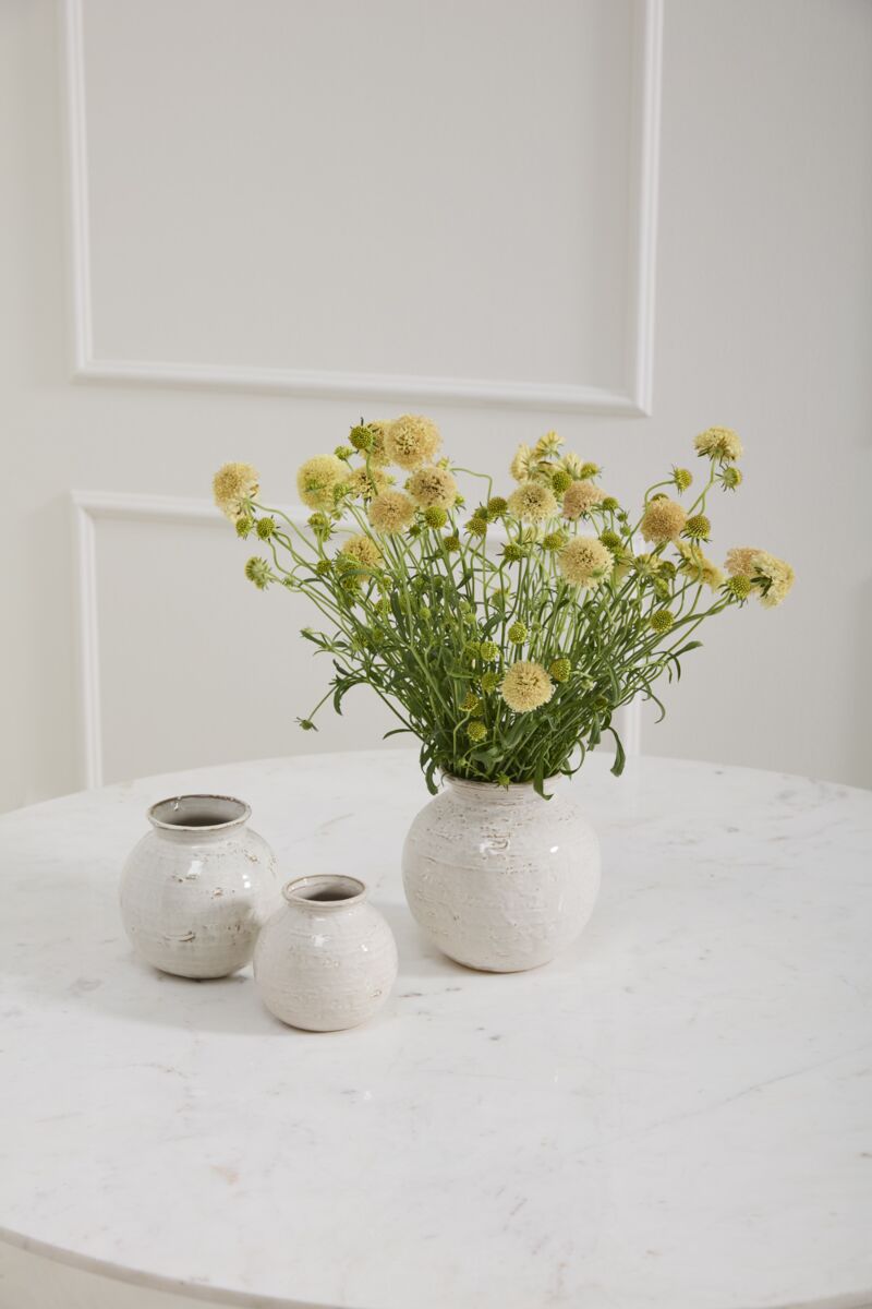 Page Vase