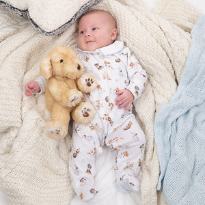 Printed BabyGrow Sleepsuit