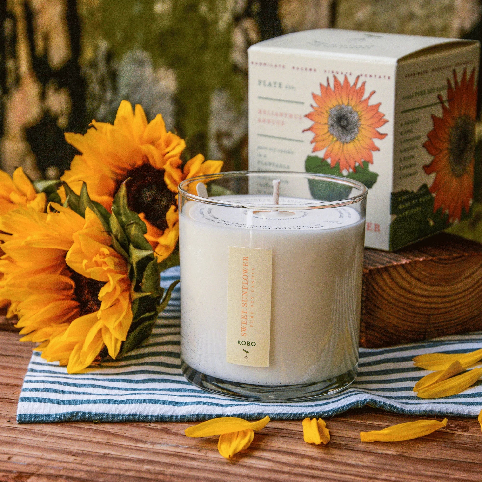 Plant the Box Candle | Sweet Sunflower