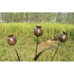 Poppy Seed Heads Cluster w/Stake