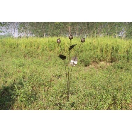 Poppy Seed Heads Cluster w/Stake