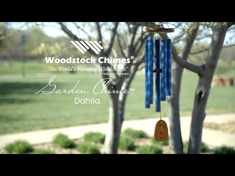 Garden Chime | Dahlia