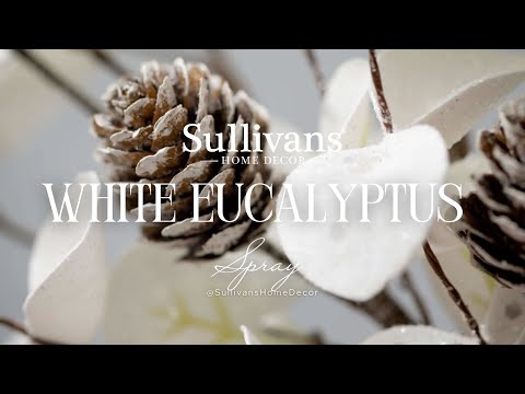 White Eucalyptus Spray