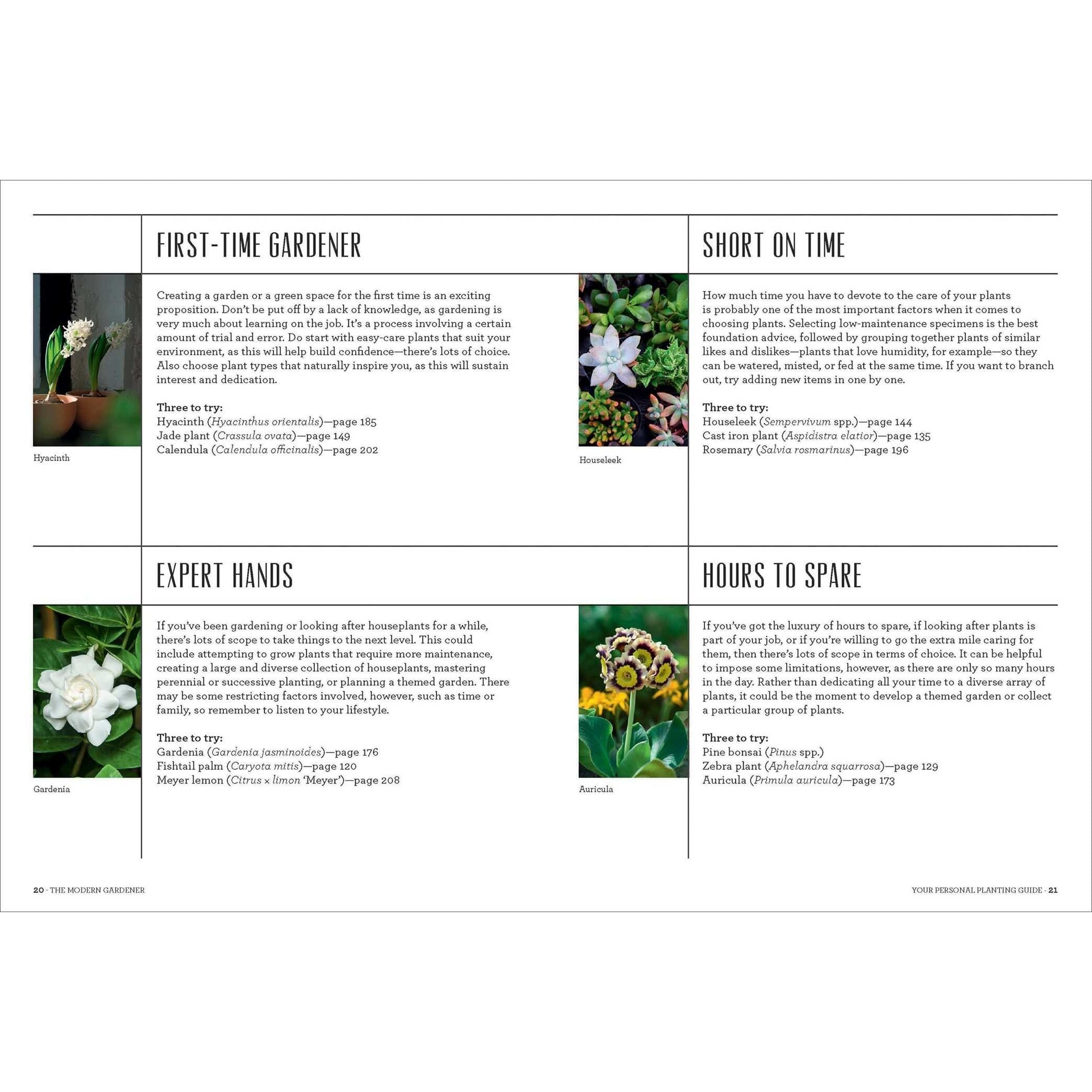 The Modern Gardener