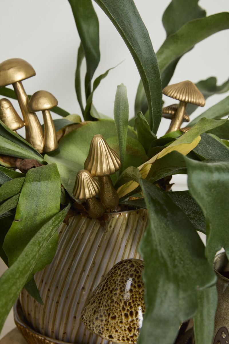 Troop Mushroom Plant Stick