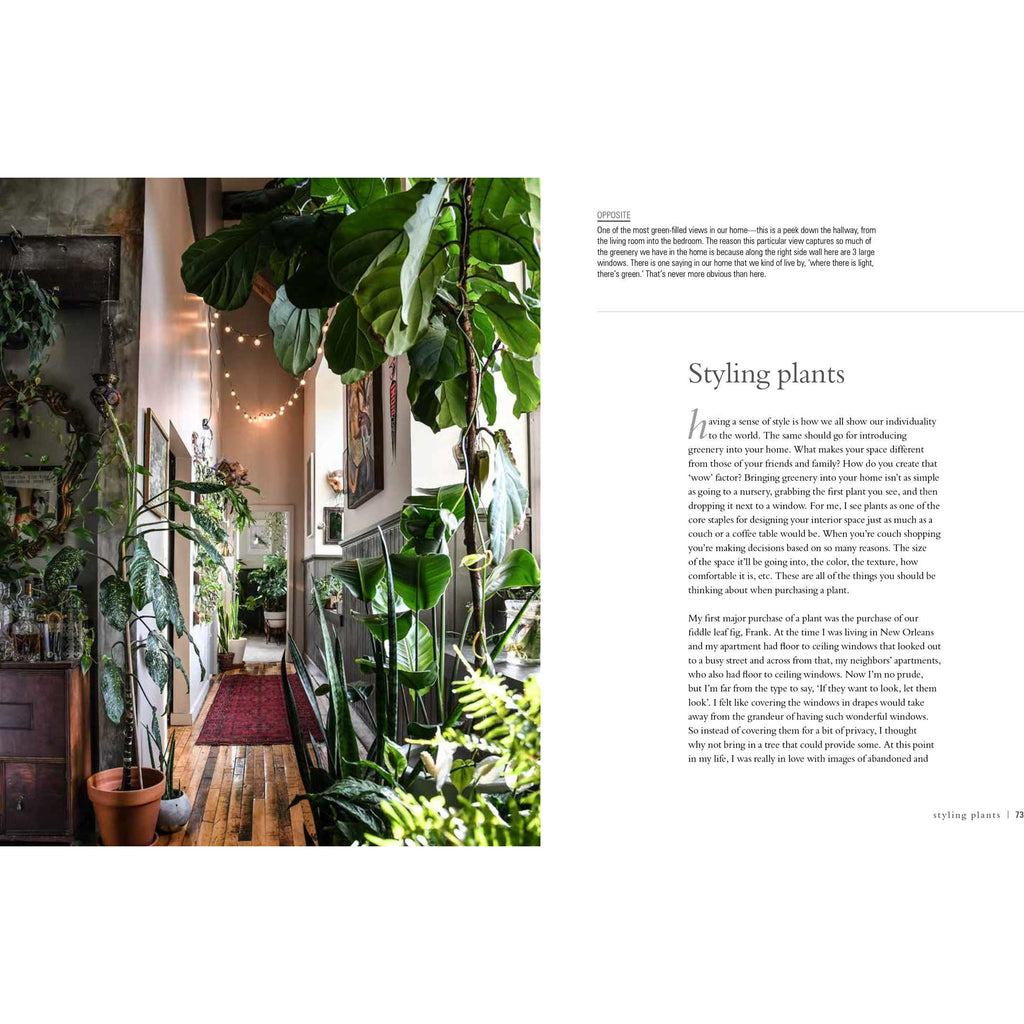 Wild At Home | How to Style and Care for Beautiful Plants