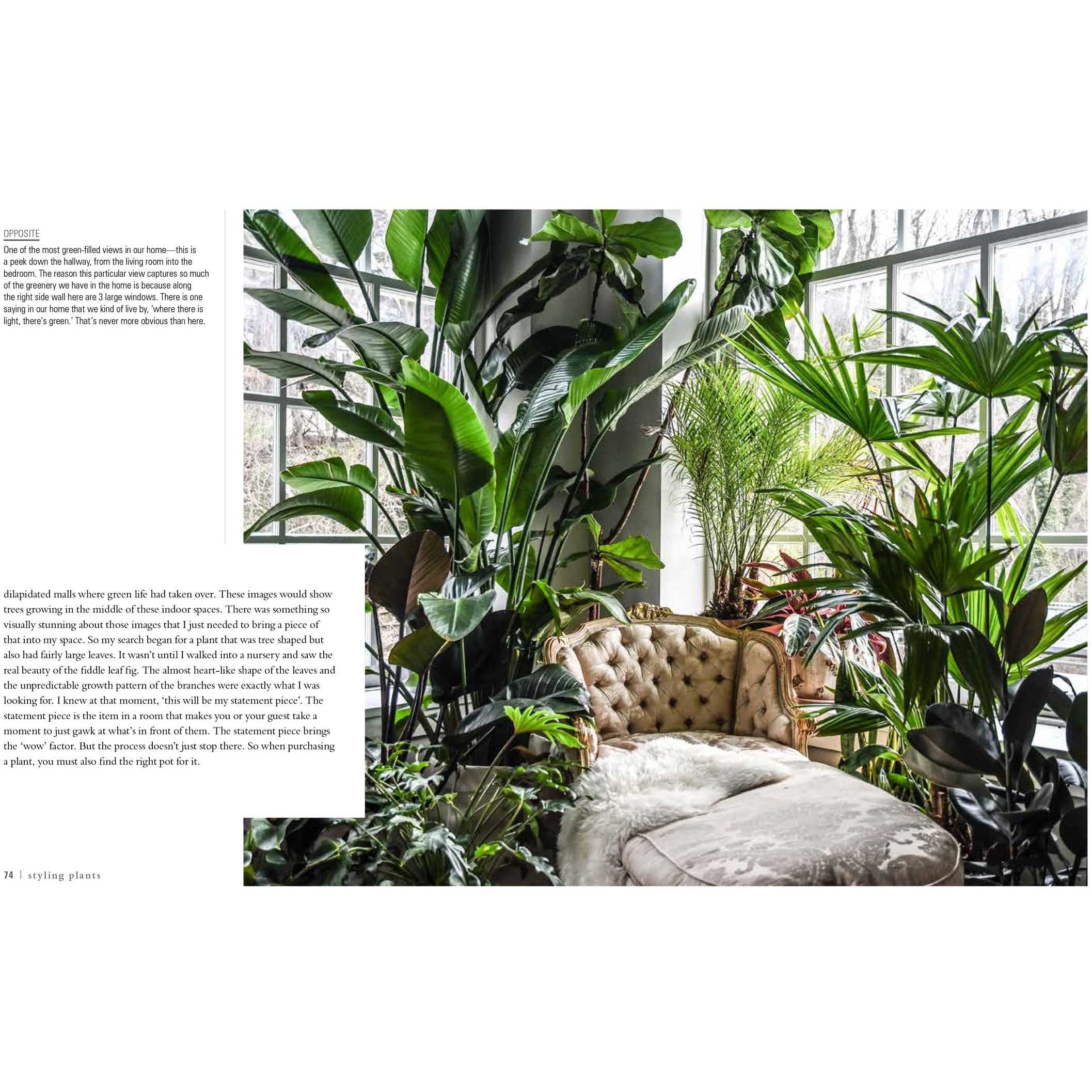 Wild At Home | How to Style and Care for Beautiful Plants