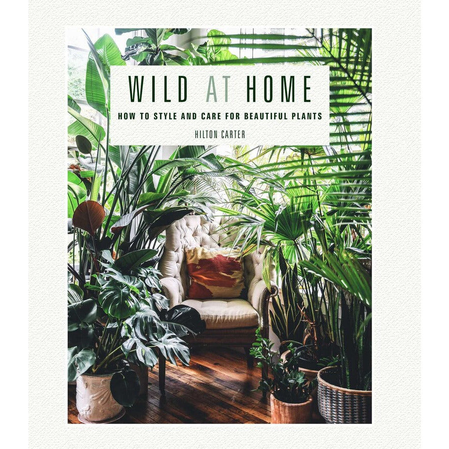 Wild At Home | How to Style and Care for Beautiful Plants