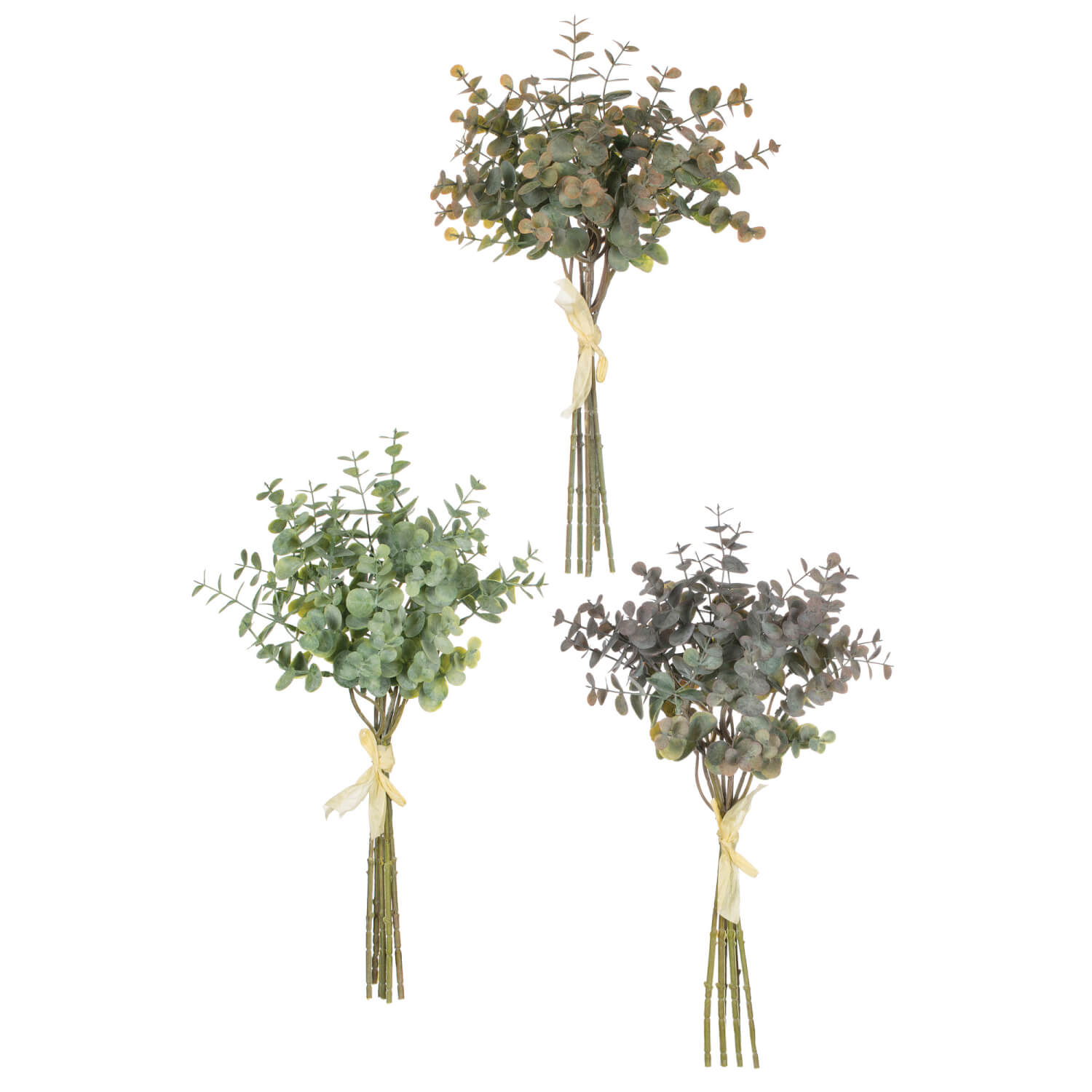 Eucalyptus Bundle