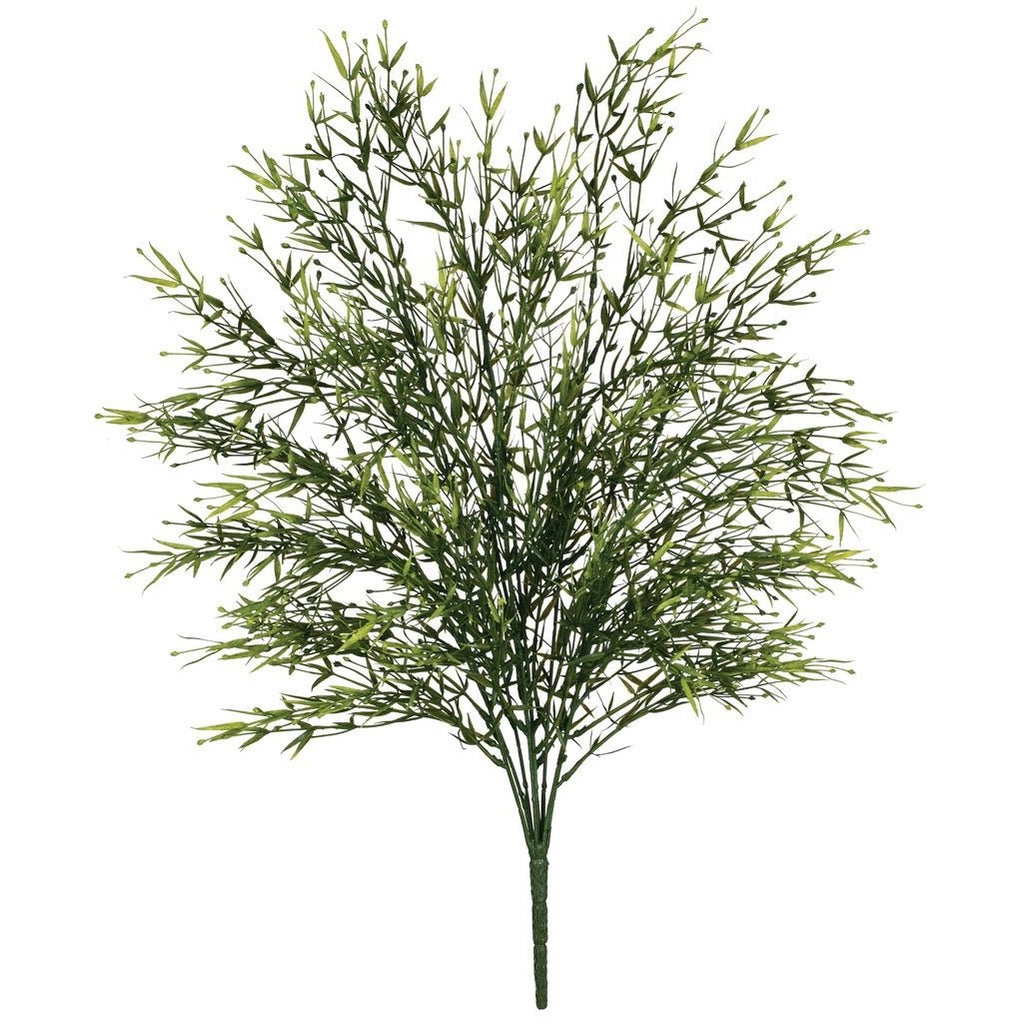 Tarragon Bush