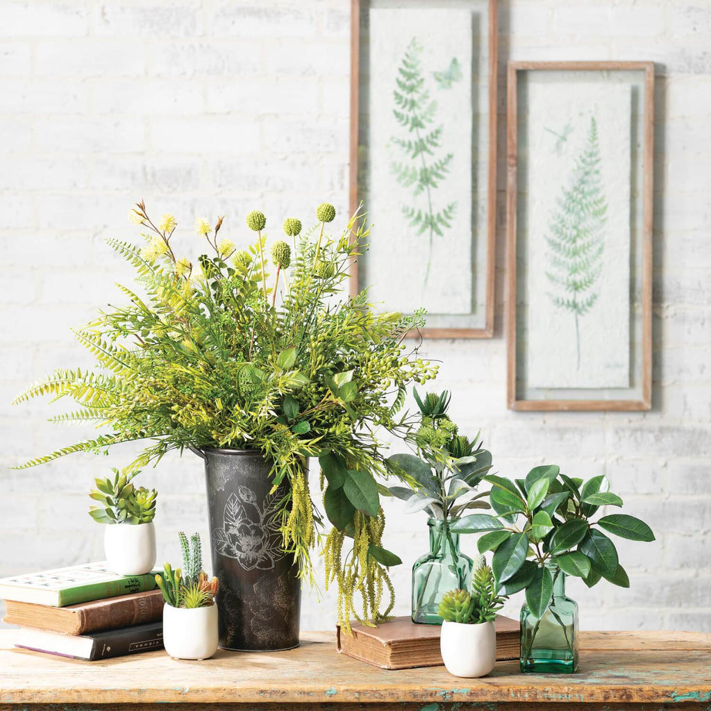 Tarragon Bush