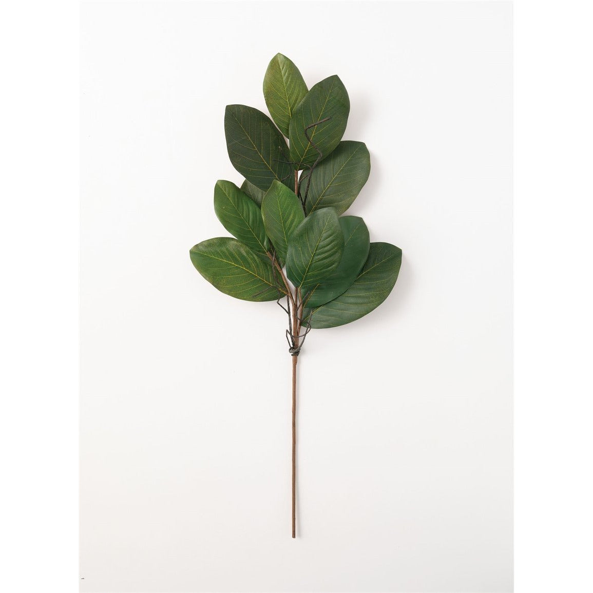 Magnolia Leaf Spray