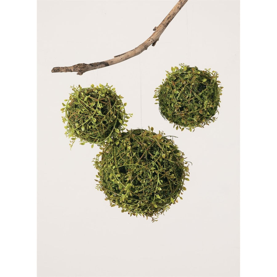 Ameice Natural Green Moss Balls Decorative Authentic Real Preserved Moss  Hanging Balls for Garden Patio Home