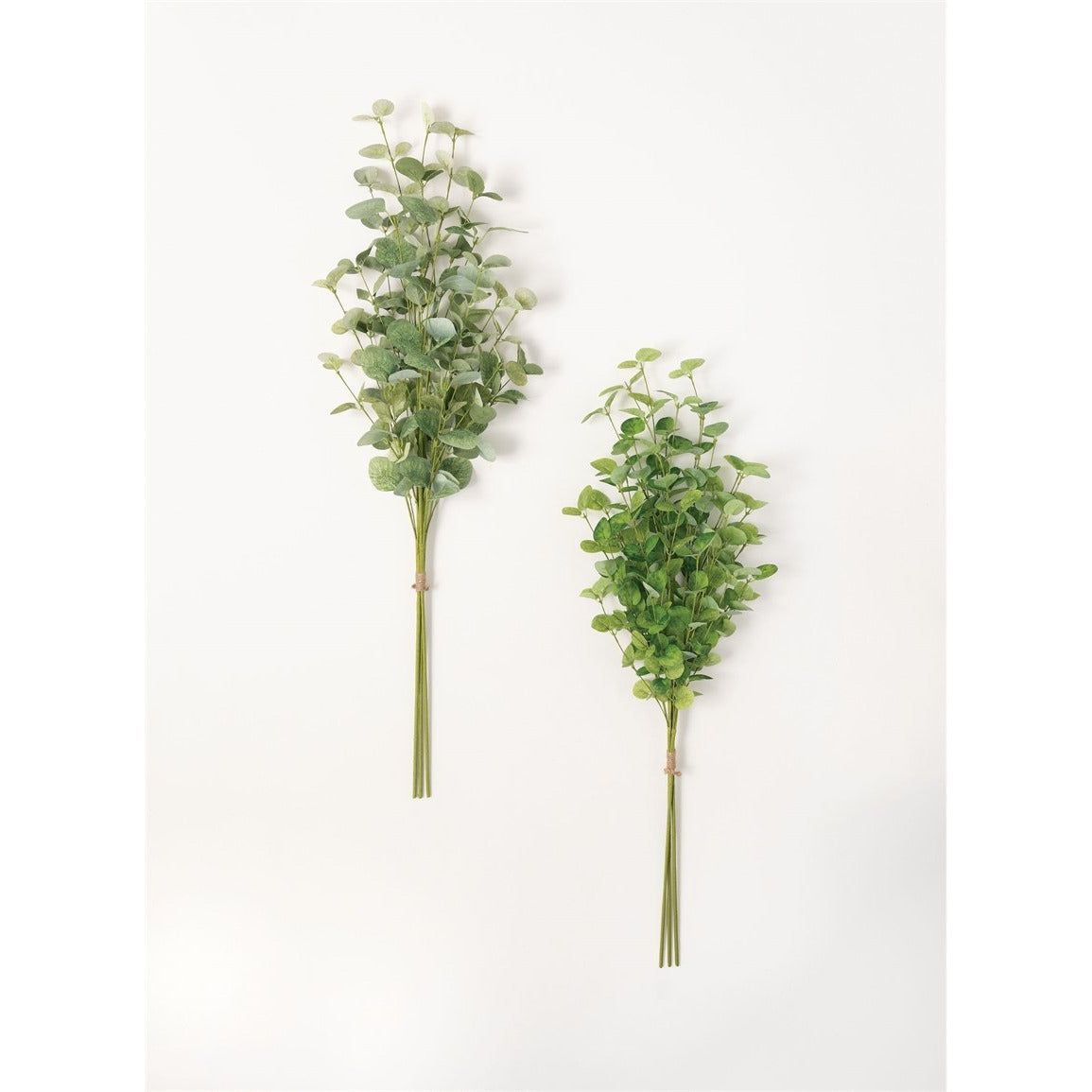 Eucalyptus Bundle